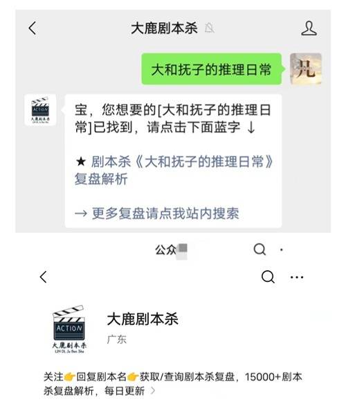 pg麻将胡了官网剧本杀《雪乡连环杀人事件2》复盘解析+角色测评+手法密码+线索分析+测评攻略(图2)